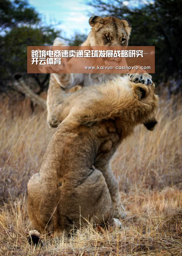开云真人