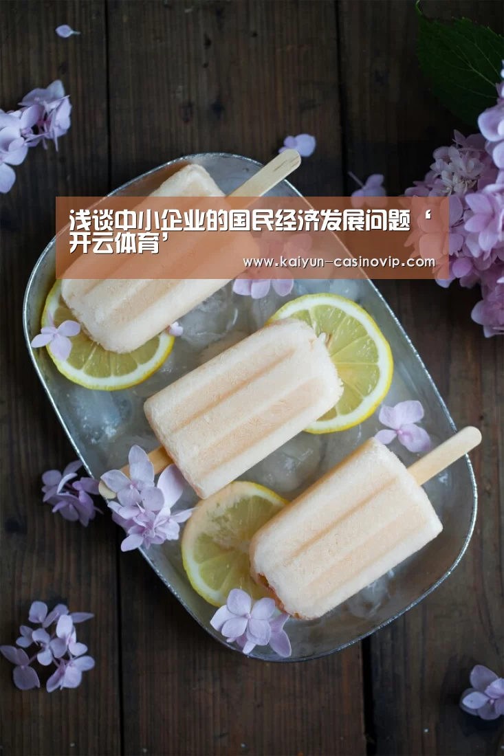 浅谈中小企业的国民经济发展问题‘开云体育’(图4) 开云百家乐