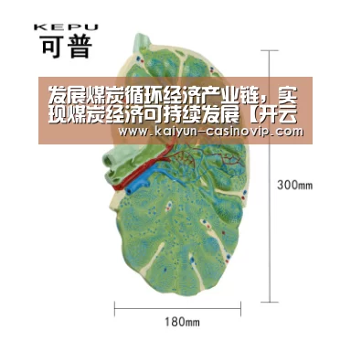 开云百家乐