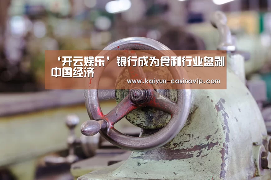 ‘开云娱乐’银行成为食利行业盘剥中国经济(图3) 开云娱乐