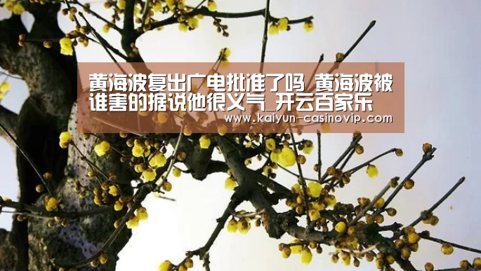 黄海波复出广电批准了吗 黄海波被谁害的据说他很义气_开云百家乐(图2) 开云娱乐