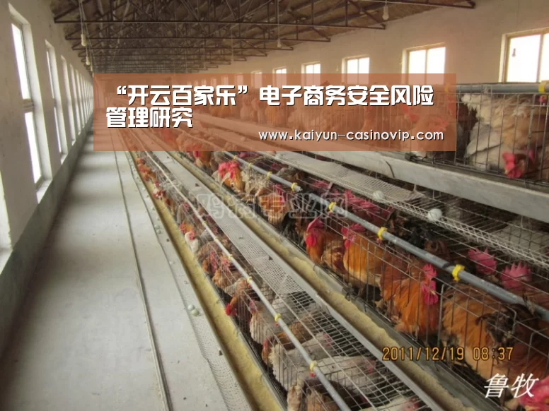 “开云百家乐”电子商务安全风险管理研究(图1) 开云体育