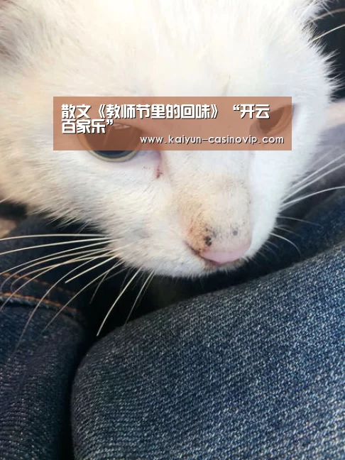 散文《教师节里的回味》“开云百家乐”(图1) 开云百家乐
