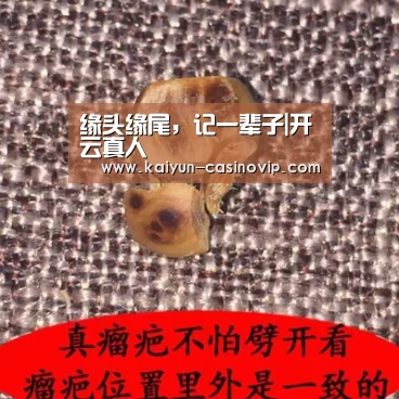 缘头缘尾,记一辈子|开云真人(图4) 开云真人